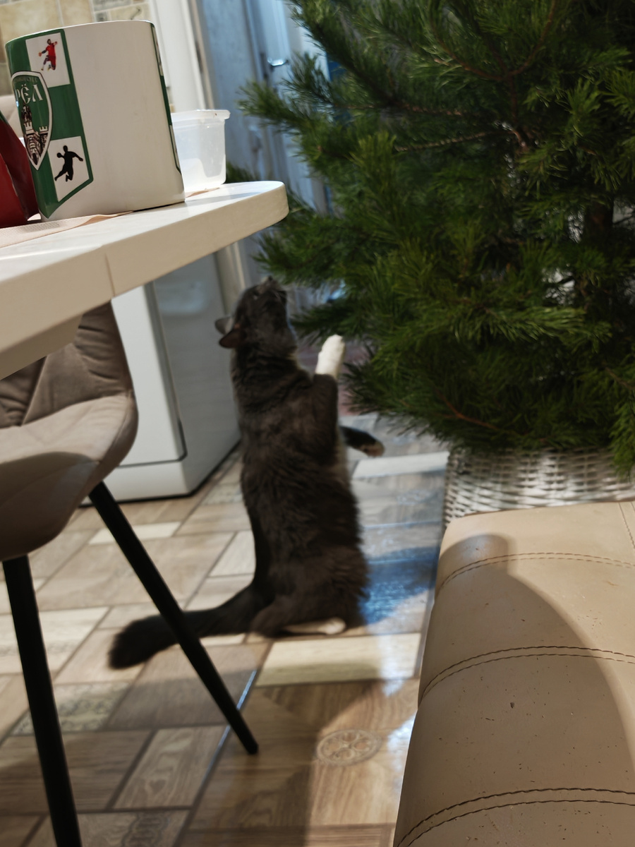 Фото автора канала.