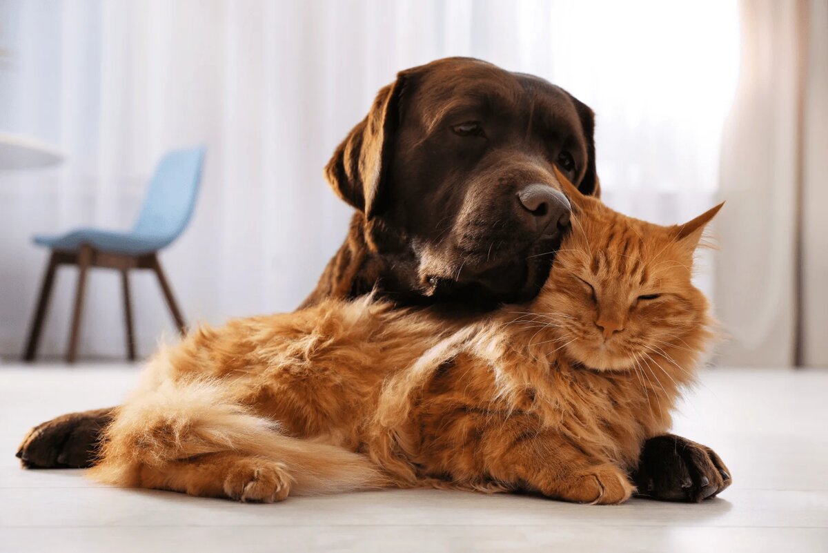 Фотография из интернета