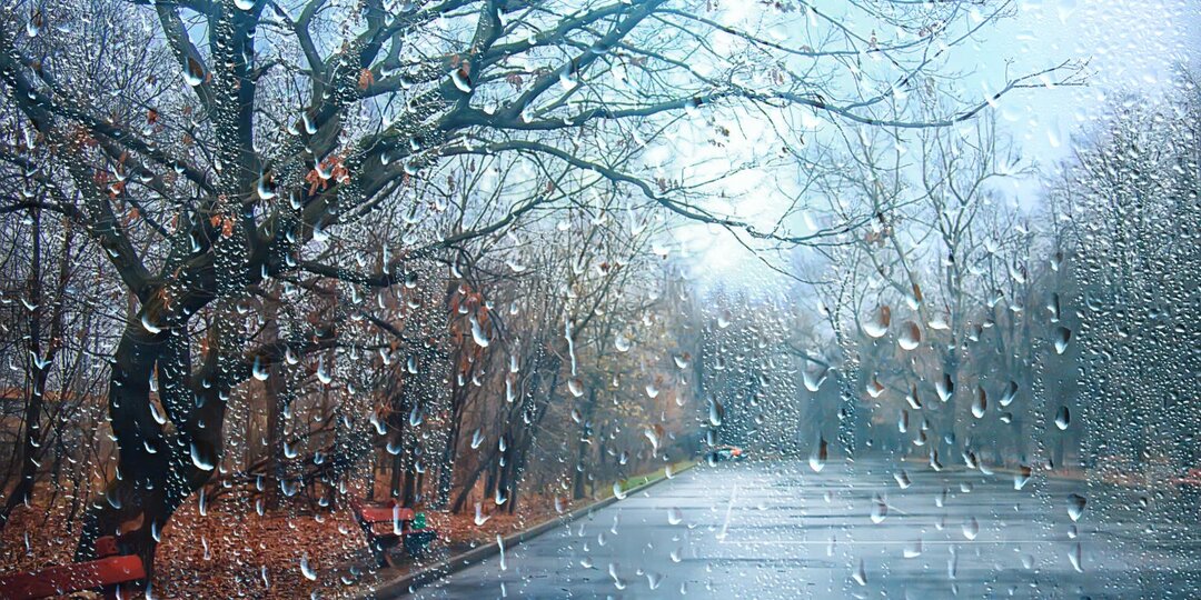 Виноват осенний дождь?