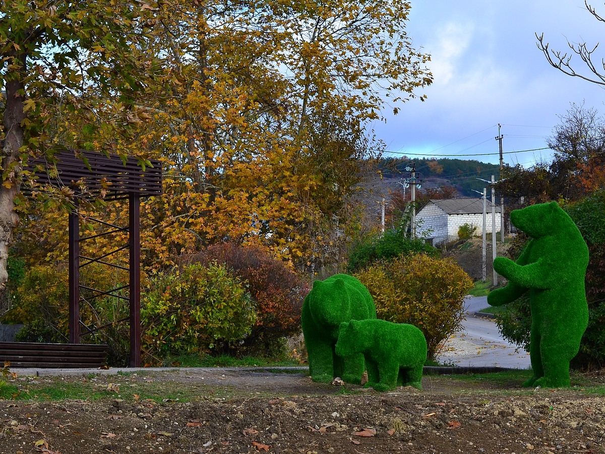 Семья медведей в Верхнесадовом.