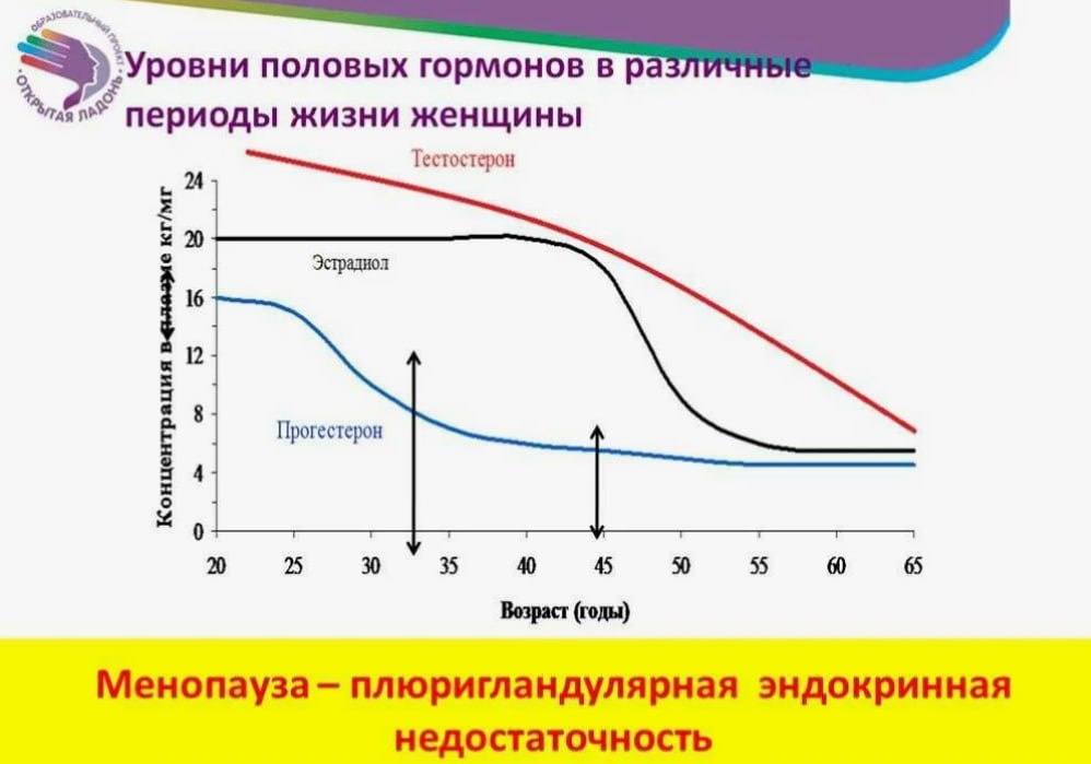 взято из интернета