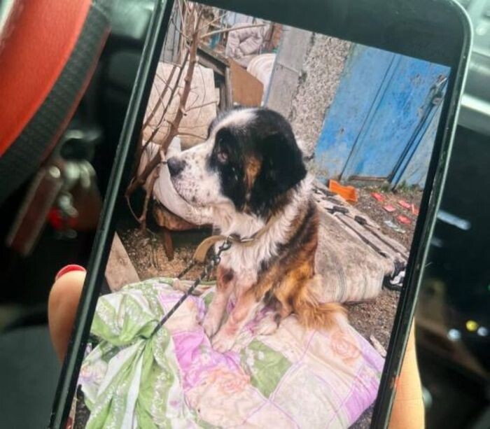 Иллюстрация: Соцсети