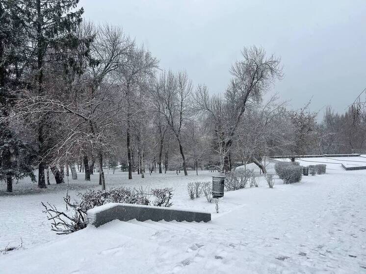     фото: "мк в самаре"