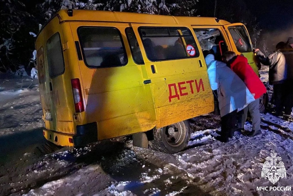    Фото © Telegram / МЧС Удмуртии