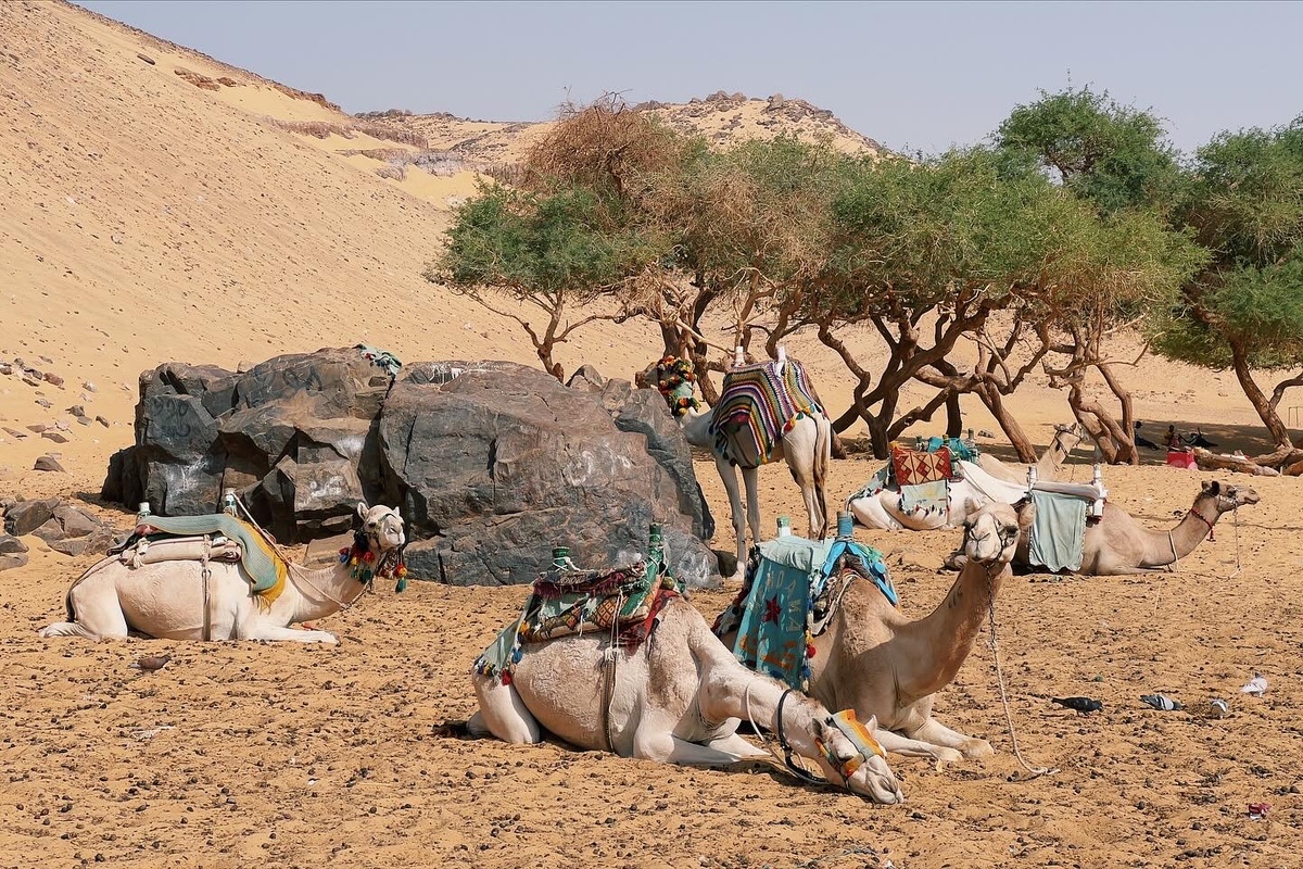 Нубийская деревня