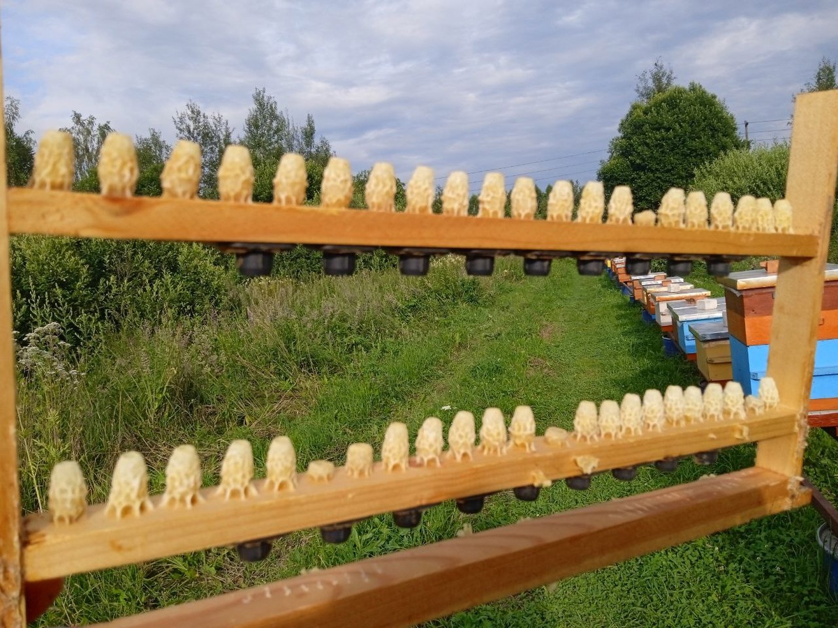 Пример рамки с восковыми мисочками.