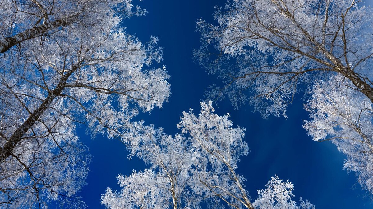 Фото: Alexander Grishin/globallookpress.com