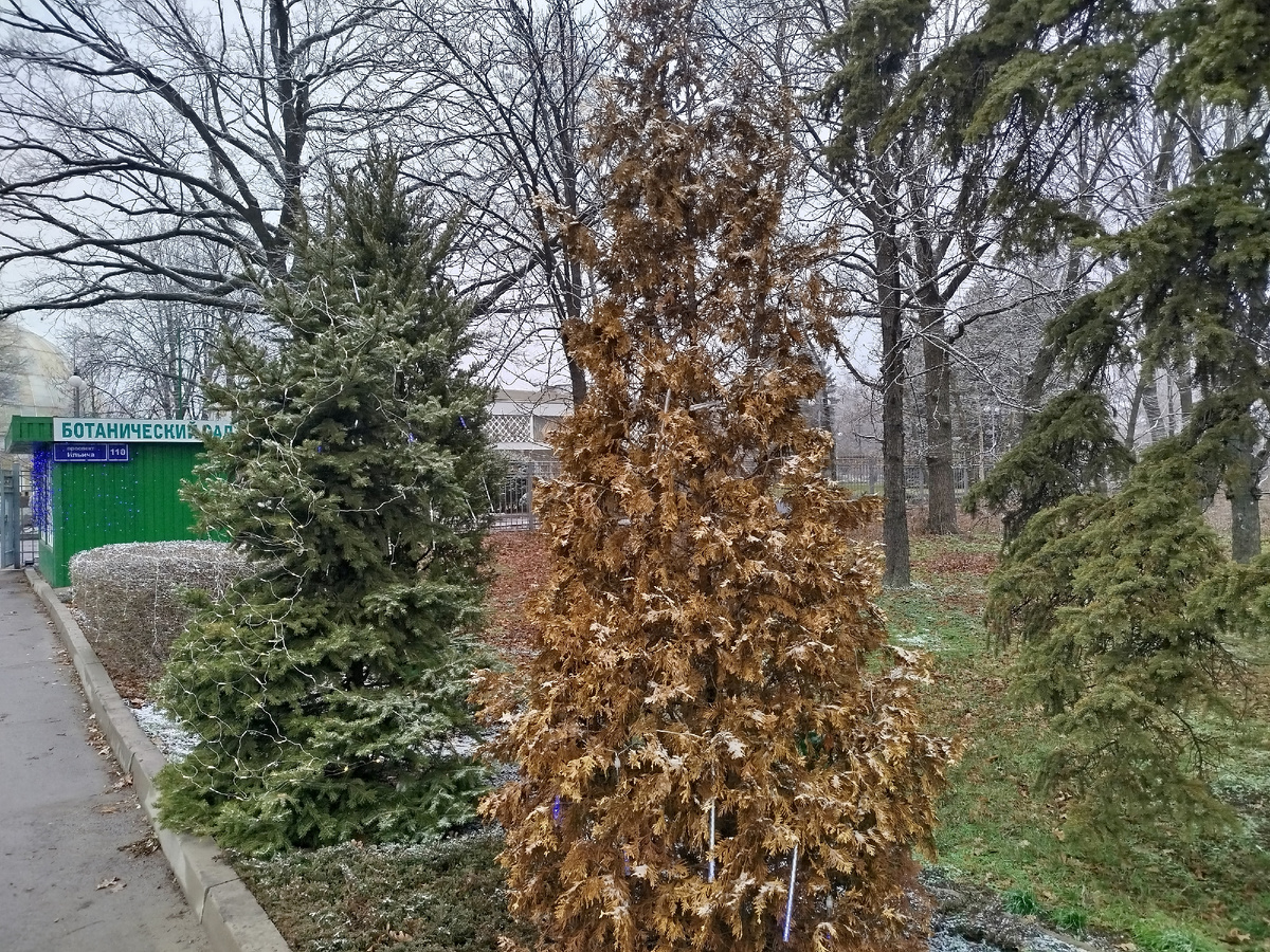 Вход в Ботанический Сад.