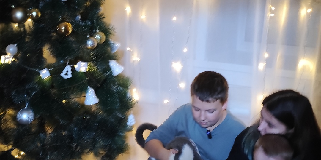 А я тут марафон добрых дел организовала