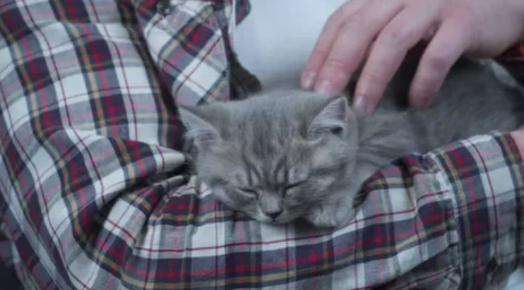 Тот кто помнит Новый год. Двенадцатое, заключительное задание