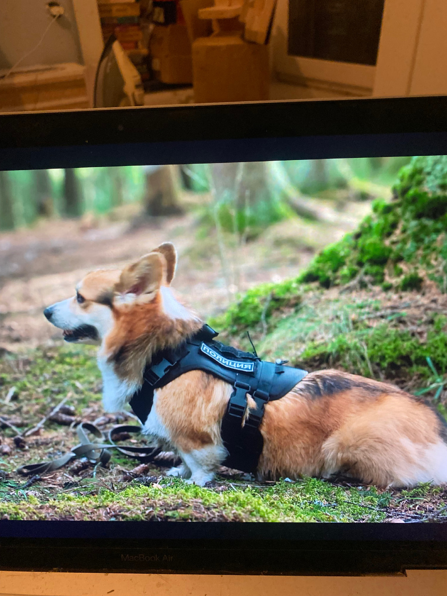 Фото автора