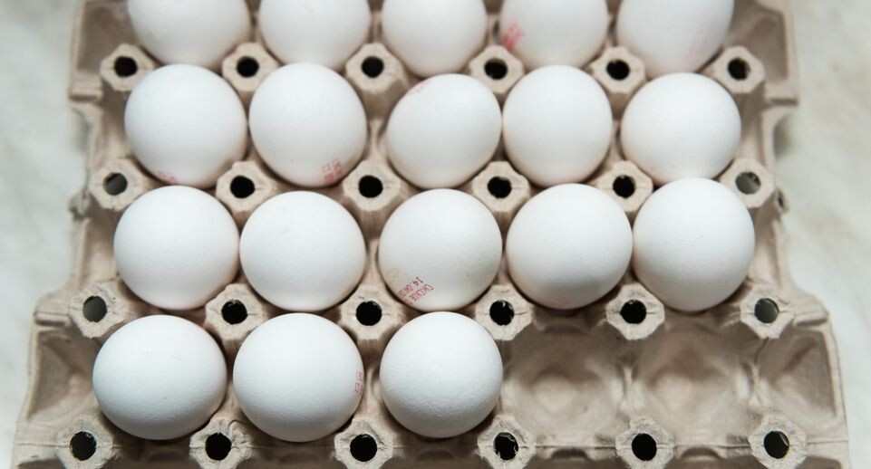    Эксперимент РИАМО по окраске яиц к Пасхе / Медиасток.рф