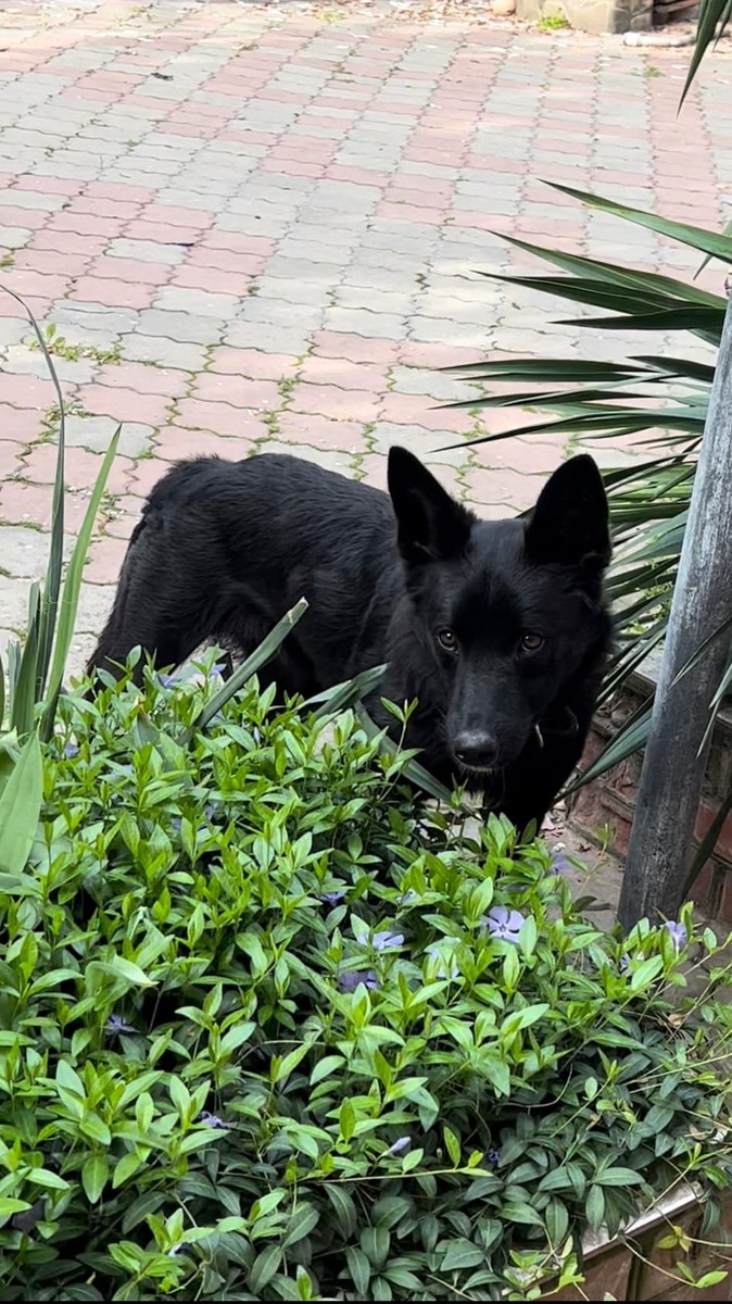    Две судьбы, переплетенные несправедливостью