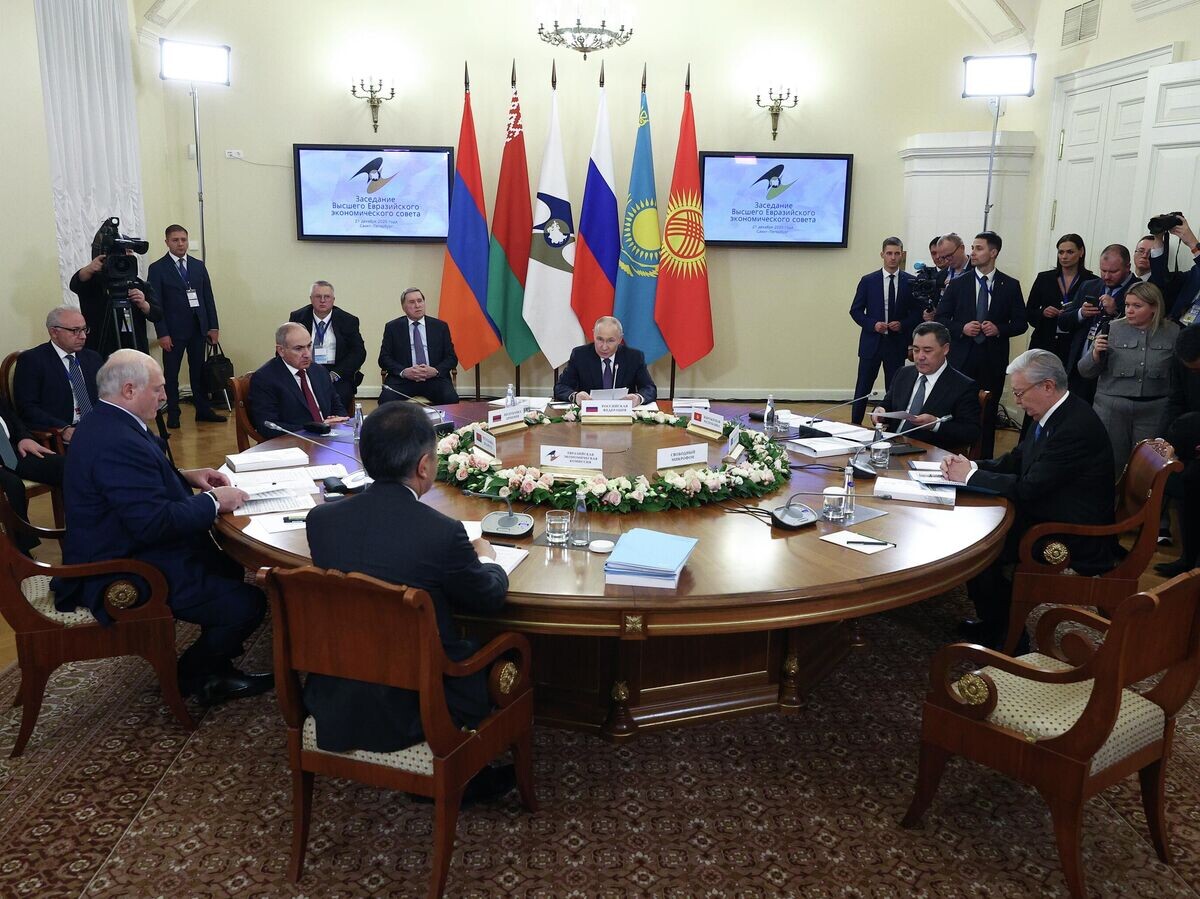    Президент РФ Владимир Путин на заседании Высшего Евразийского экономического совета в Санкт-Петербурге | © РИА Новости / POOL