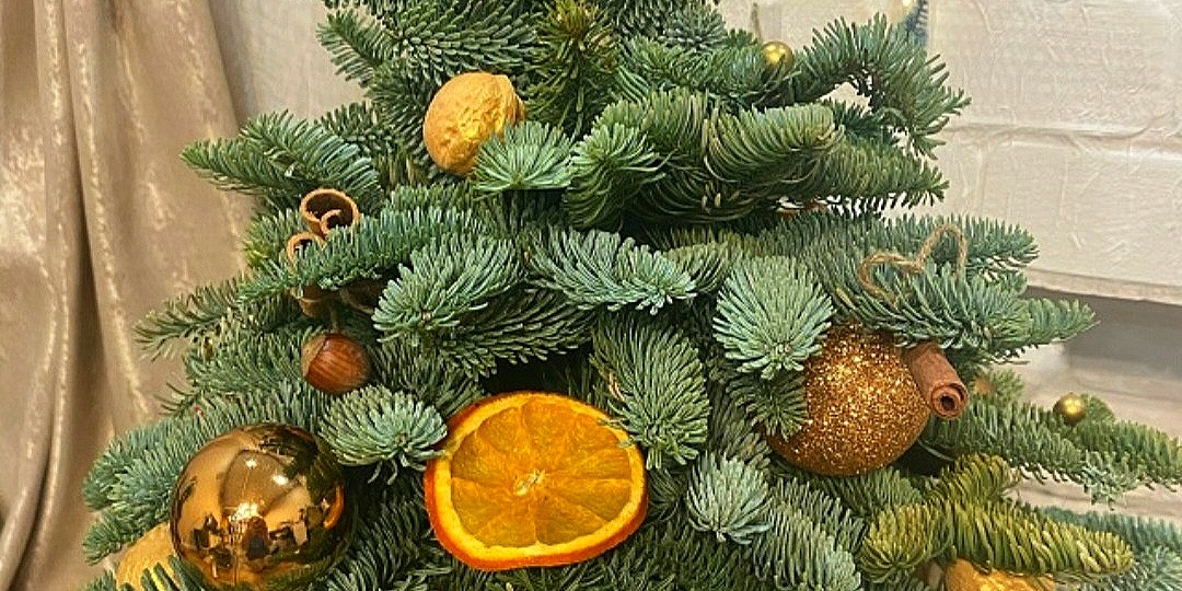 «Какой то очень странный праздник! Ночью пить, есть и живые ёлки рубить!» И всё-таки, какую лучше ставить ёлку на Новый год?