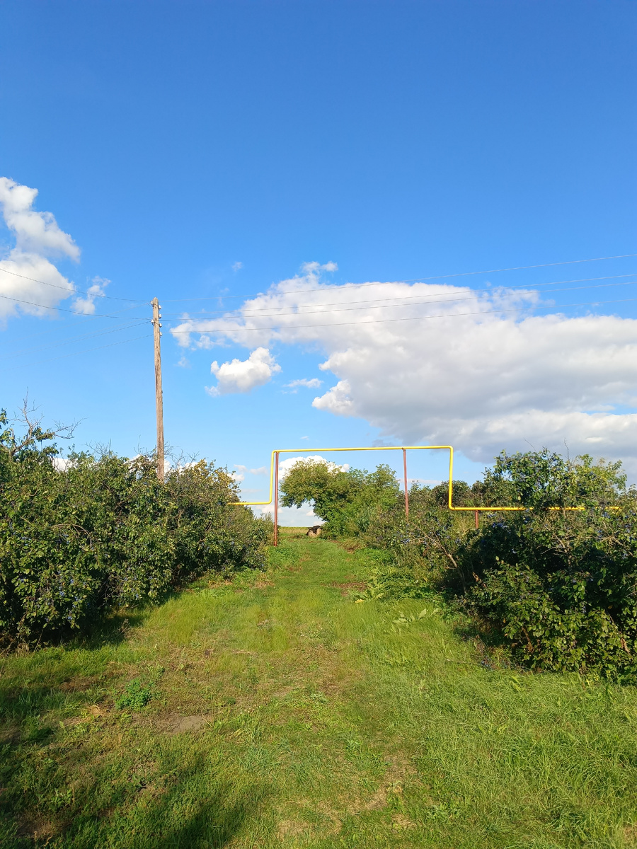 Из летнего, моё глухое преглухое село