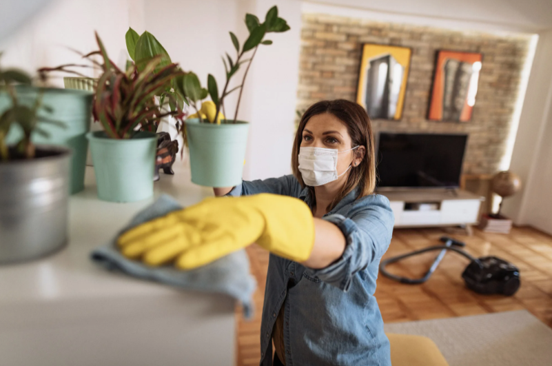 Очистить дом: избавьтесь от токсичной химии перед Новым Годом!