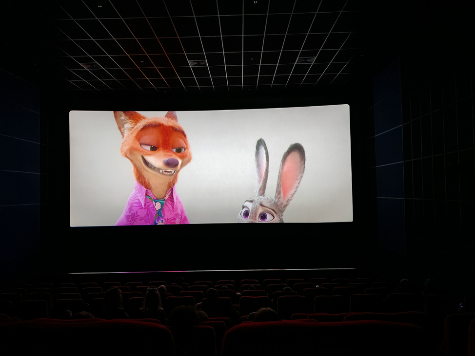 Из кинозала