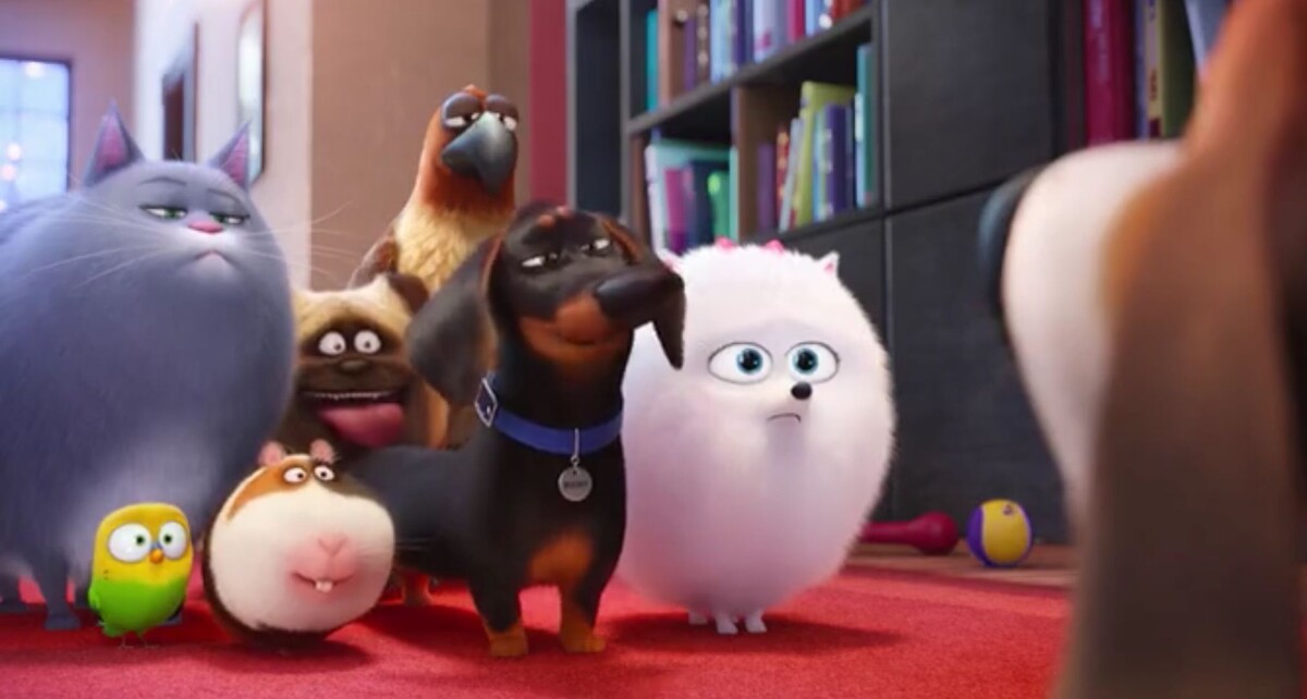 Кадр из м/ф Тайная жизнь домашних животных 