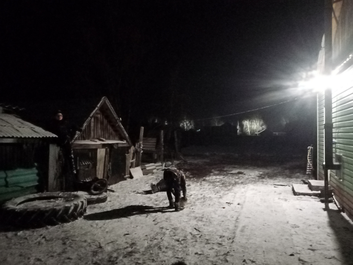 ребус - где Никитка?)