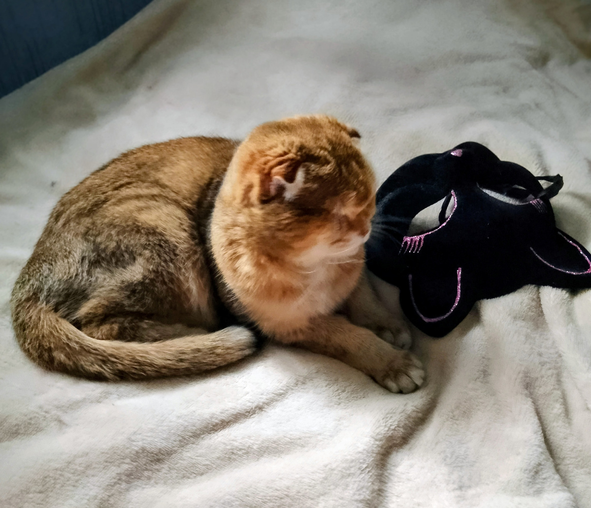 Победительница тёмных сил. Маленькая, но отважная