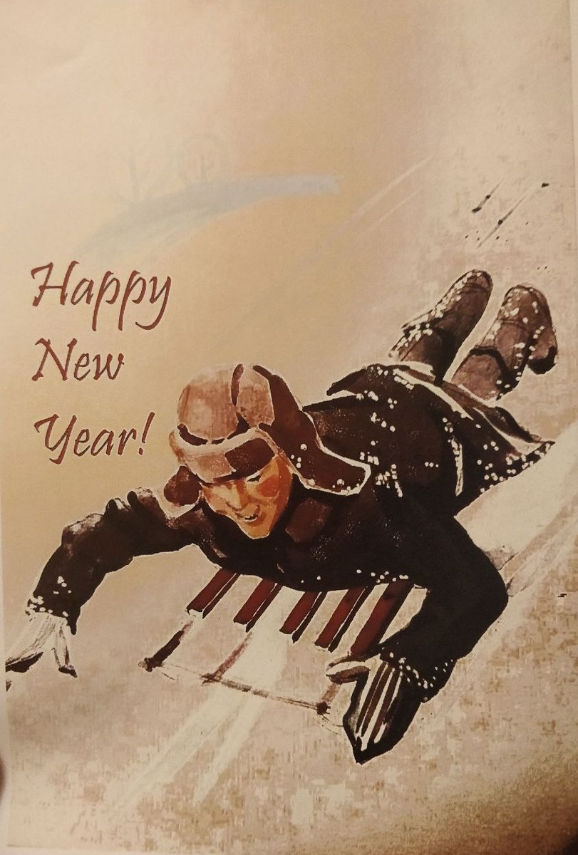 Мальчик несется с горы на санях