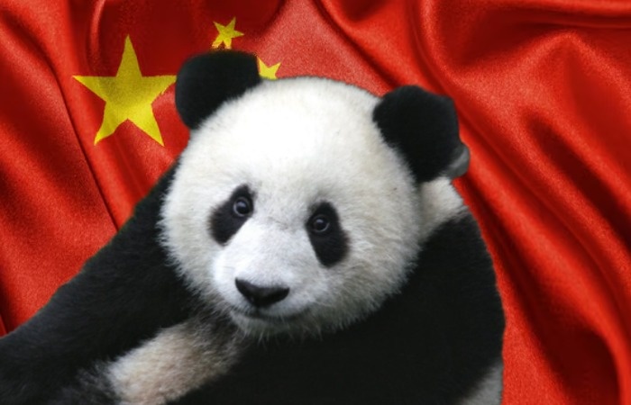 Что такое пандовая дипломатия, и Кому дарили панд, а кто берет их в аренду за 1 миллион долларов