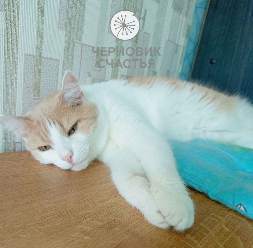 Просто воплощение спокойствия и умиротворенности)) 