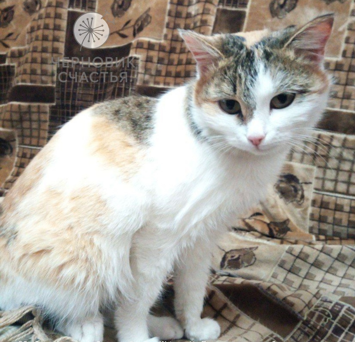 Матильда или просто Маша