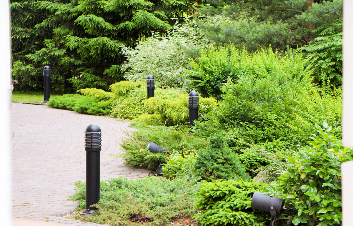 Парадная композиция с северной стороны дома.