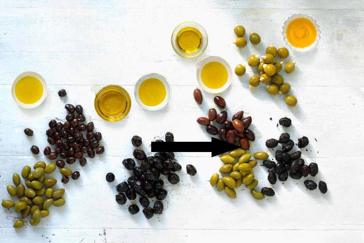    Тайна горького оливкового масла раскрыта