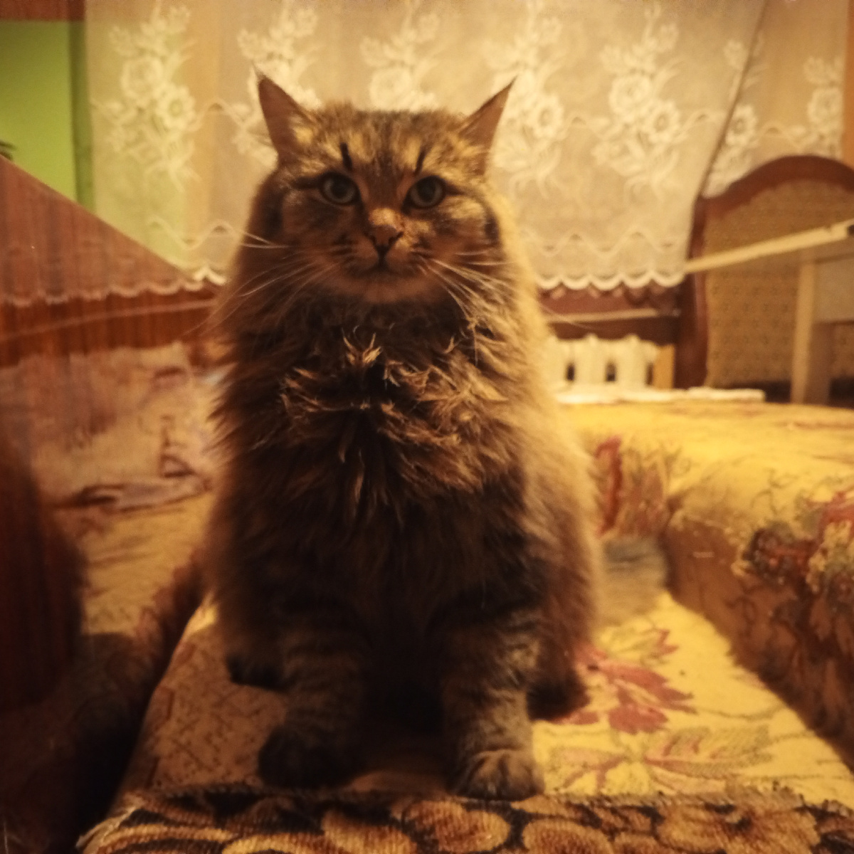 Минздрав предупреждает: риск опасен для здоровья!