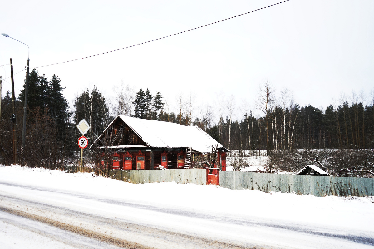 Дом на окраине "Туголесского бора" в 2025, фото автора