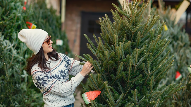 Поставить живую ёлку в дом оптимально за 5-7 дней до Нового года. Фото с сайта cgon.rospotrebnadzor.ru