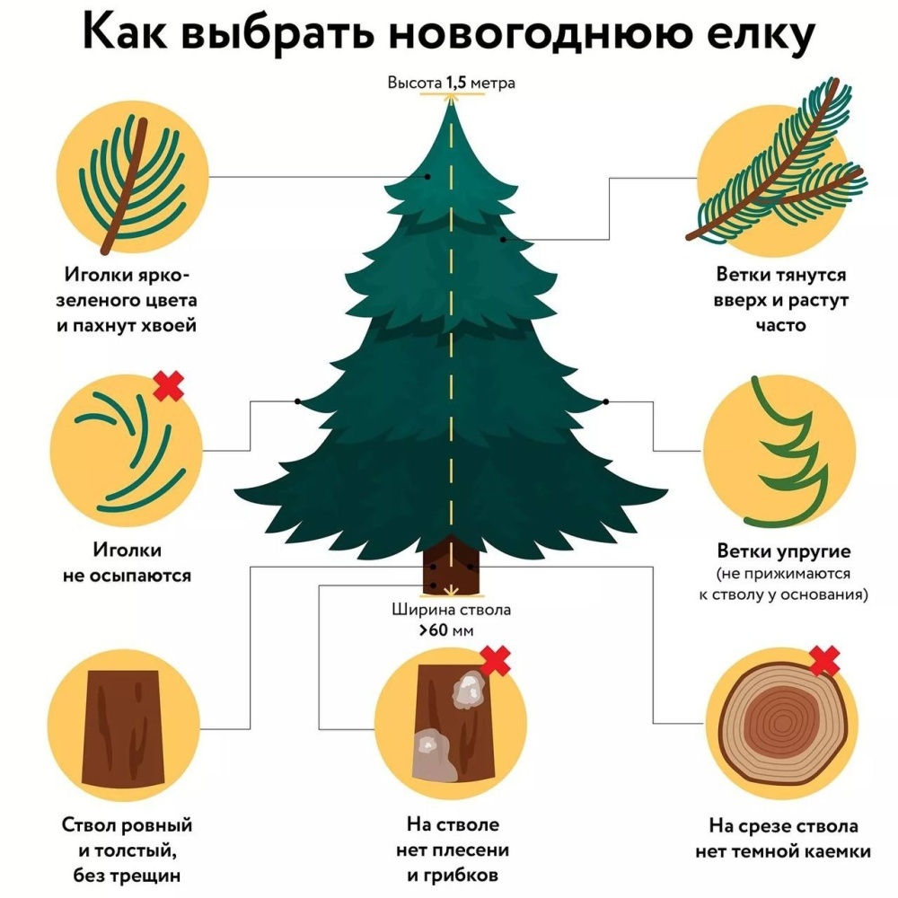 Фото с сайта cgon.rospotrebnadzor.ru