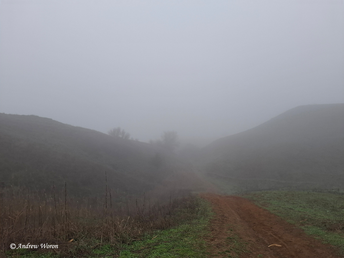 Туман над оврагом