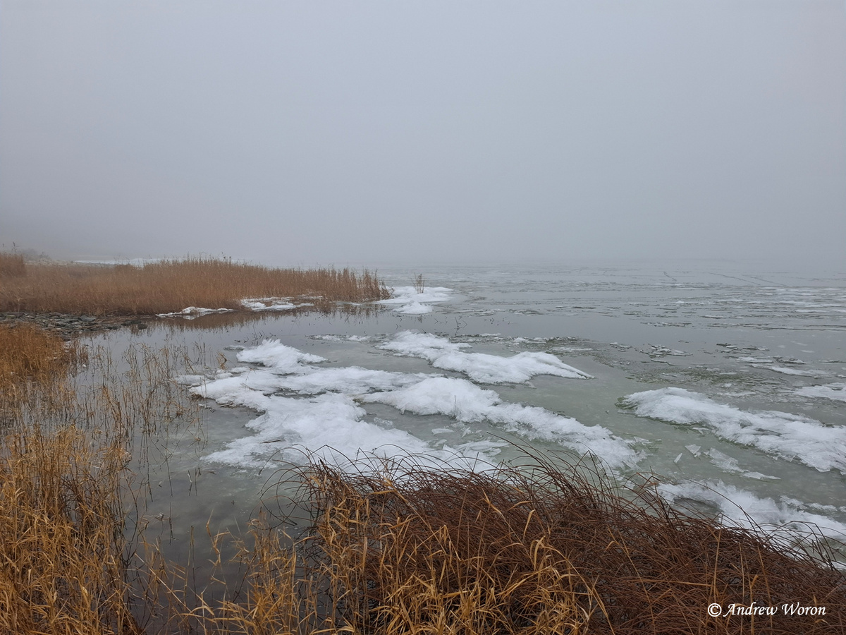 Туман над морем