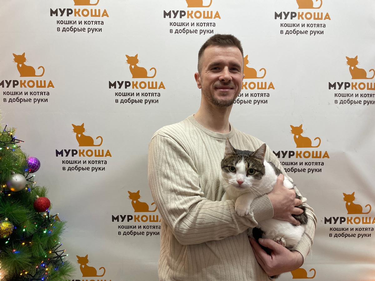 Котосон, пора в дом! 