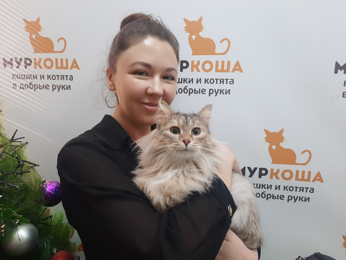 Мягкая Симфония поймала удачу. 