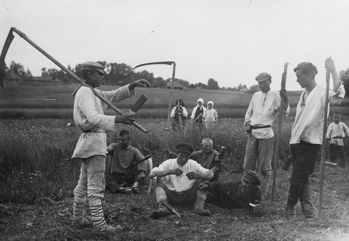 Фото из открытых источников.