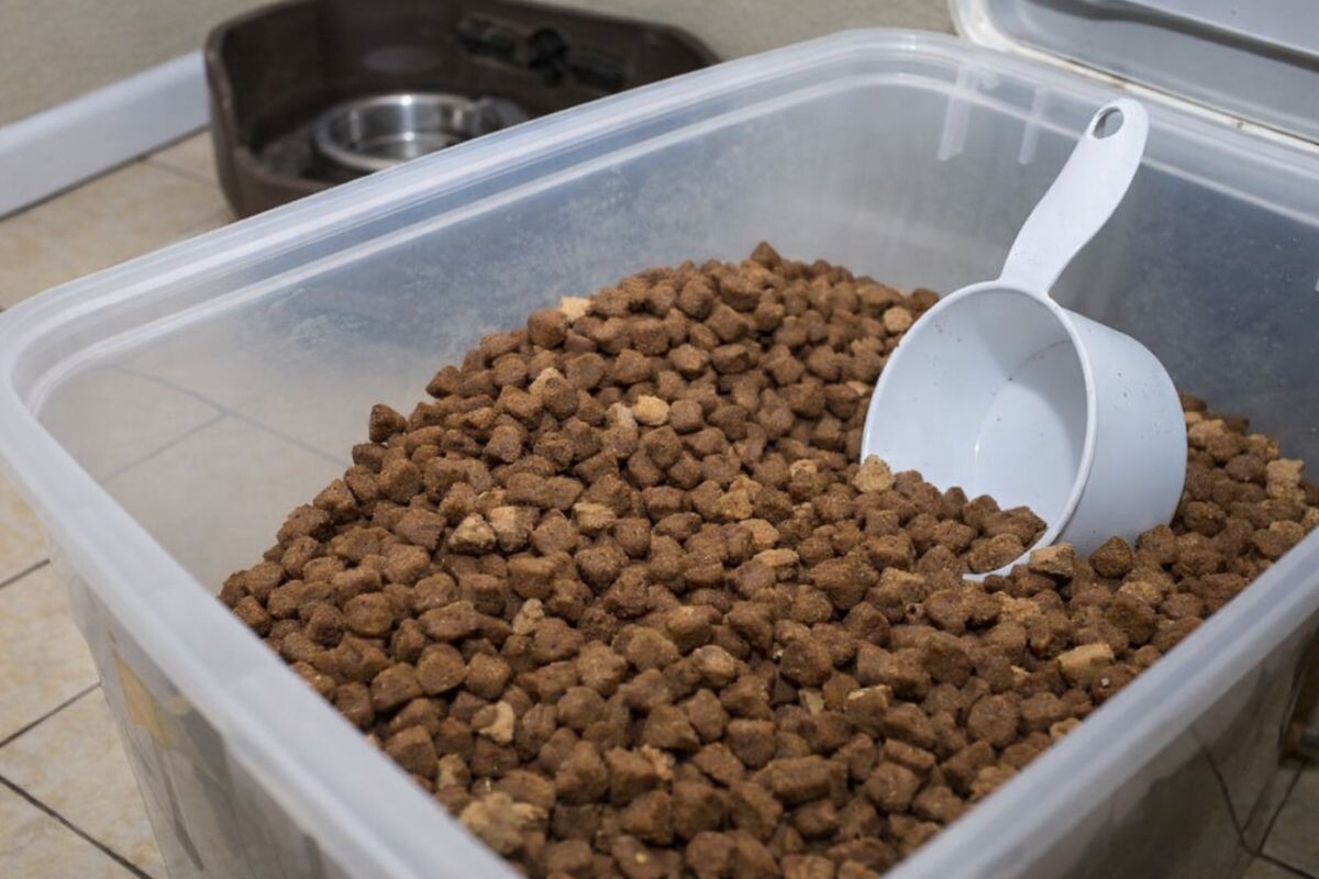 Корм в пластиковом контейнере 