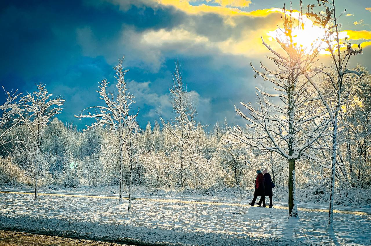 Фото: Дмитрий Тимофеев