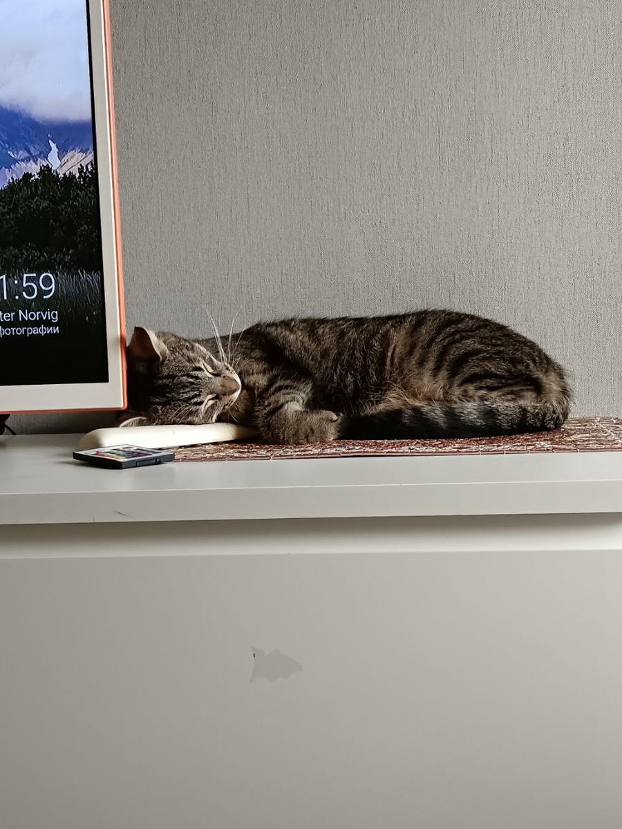 Кузенька единственный малыш в доме, поэтому все принадлежит только ему 😻