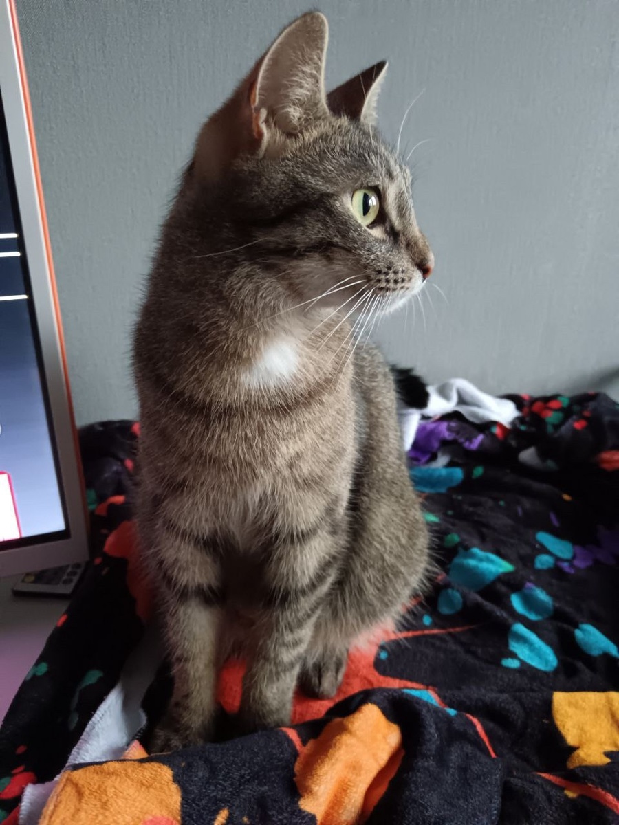 Самый главный помощник в доме)