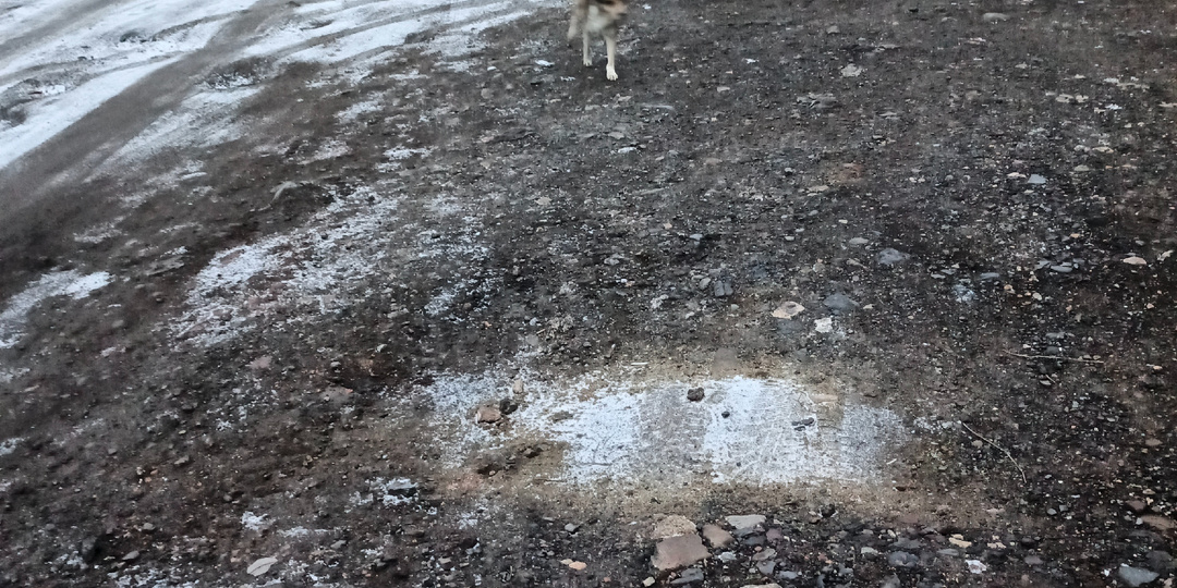 Спасибо огромное всем!