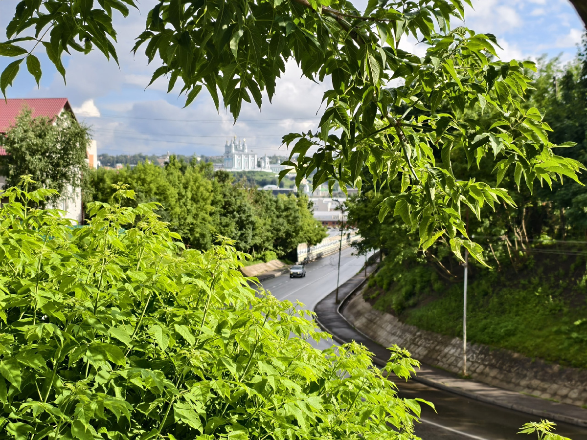 Город после дождика