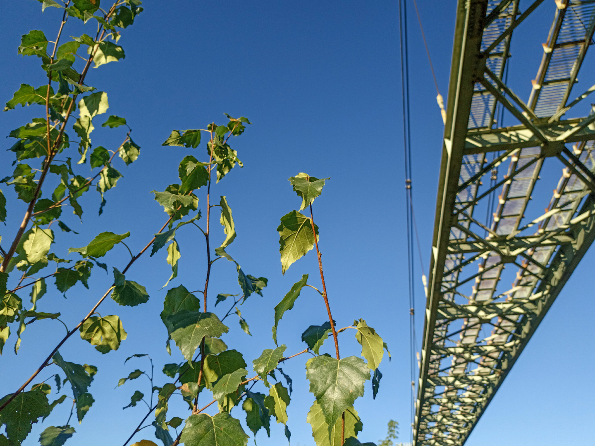 Ярко и зелено