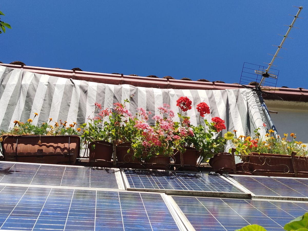 Фото автора. В июне балкон мне очень нравился, но потом никто из этих растений не смог пережить июльскую жару 