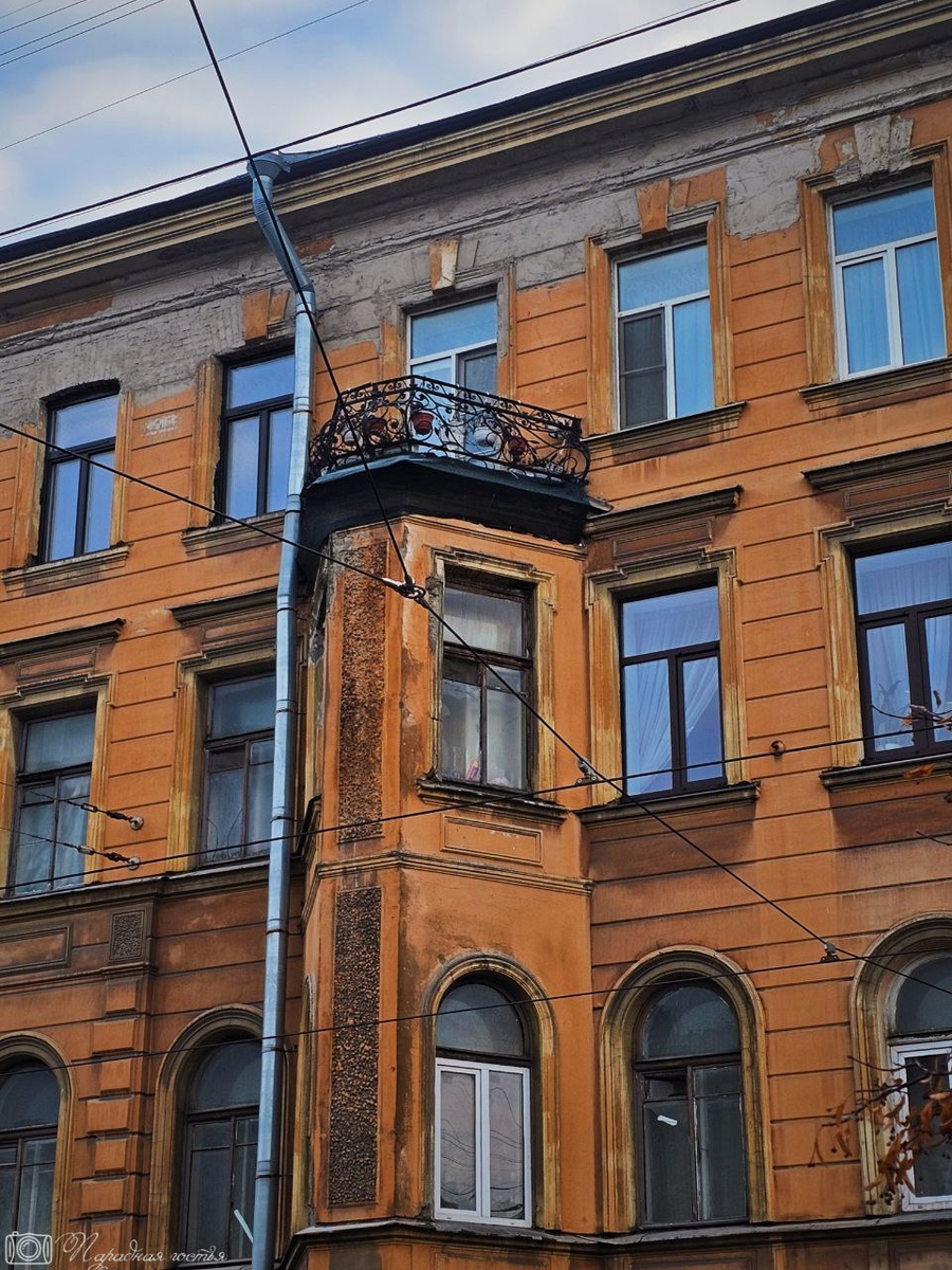 Однако его красоту не отнять. Фото: Парадная гостья