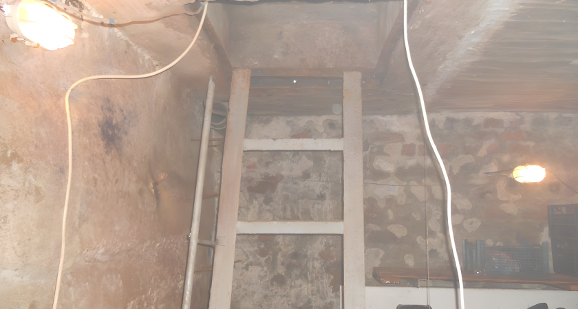    Фото Анастасии Дмитриевой